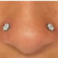 closeup shot of a nose with piercing on both sides
